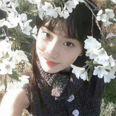 新白蛇传之九尾狐