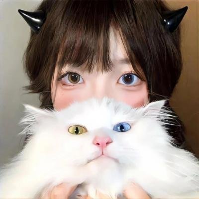 鞋猫剑客